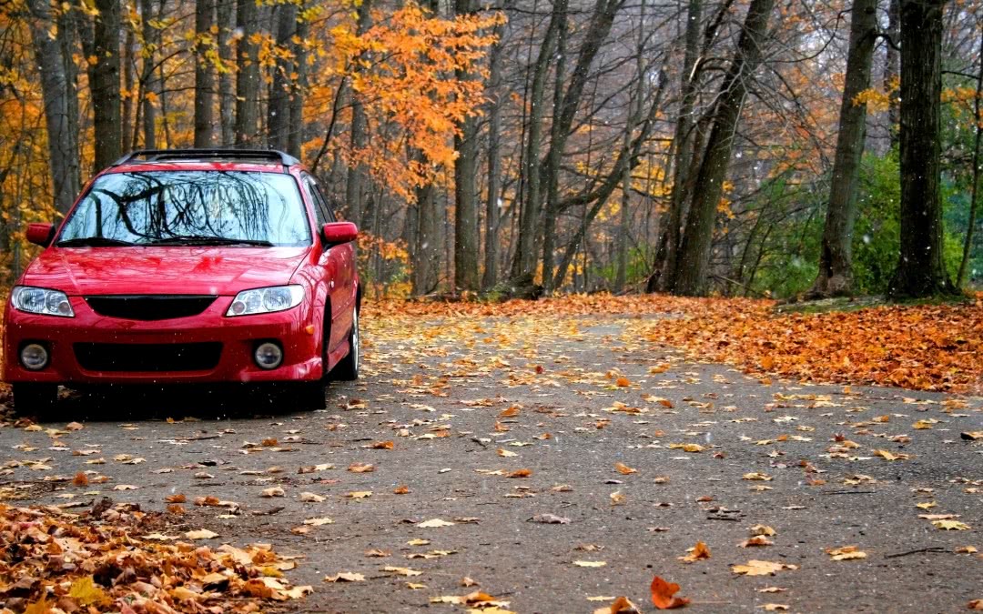 秋季汽車保養